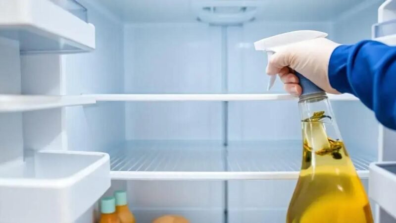 Limpeza de Geladeira: Estratégia para Evitar Desperdícios e Odores