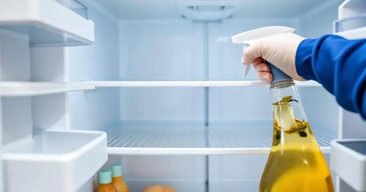 Limpeza de Geladeira: Estratégia para Evitar Desperdícios e Odores
